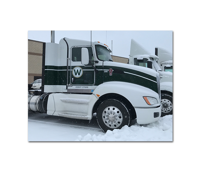 wonderlanddaycabstriping